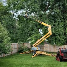 Best Tree Health Inspection  in Mechanicville, NY